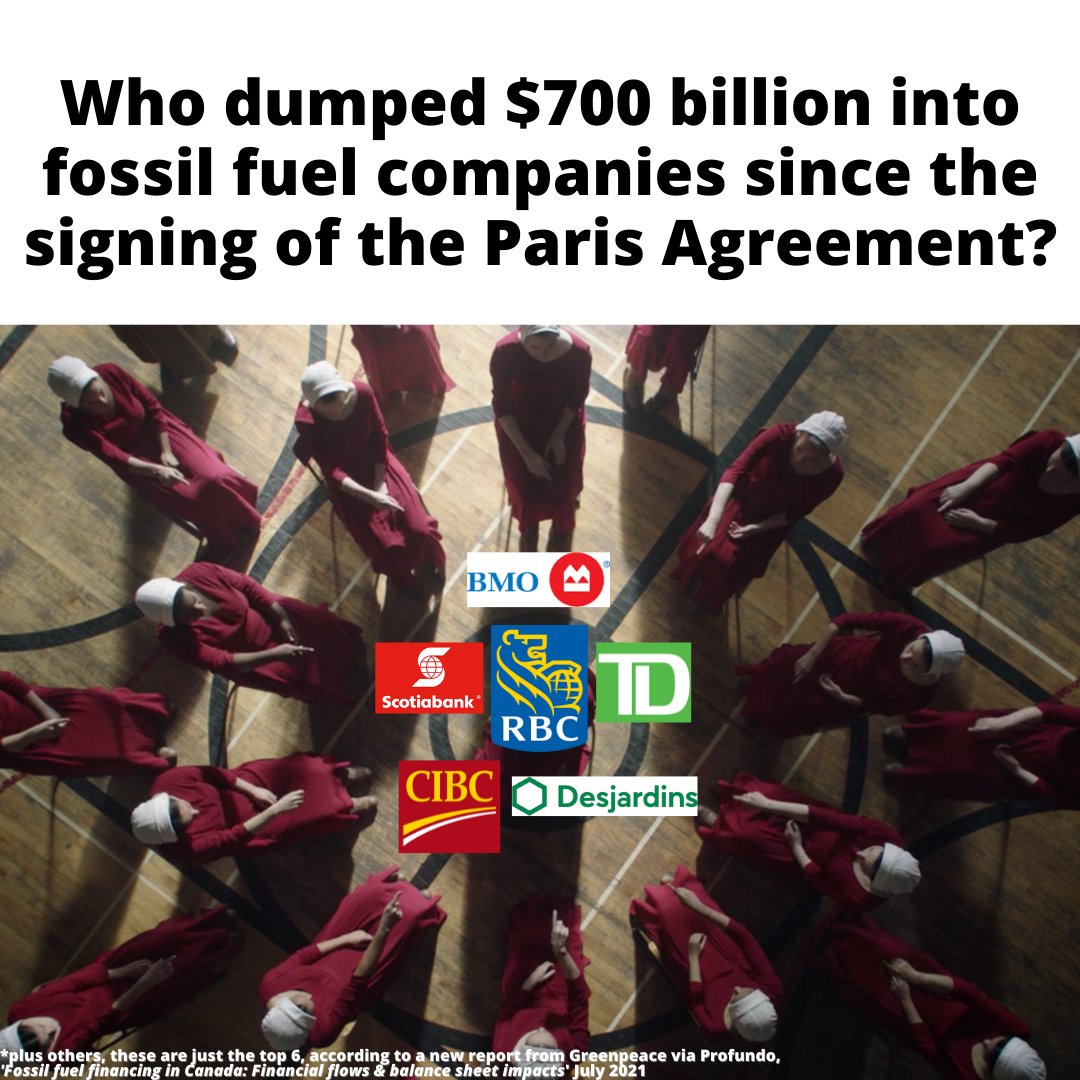 GreenpeaceCA's tweet image. Who's funding climate chaos? 👉👉👉#FossilBanks &amp;gt;&amp;gt; act.gp/3sbvvtC

Time for Canada’s big banks to do their part: STOP investing in fossil fuels. SIGN: #StopTheMoneyPipeline from flowing &amp;gt;&amp;gt; act.gp/2VMI5Uf

Your $$$. Your planet. Your future. #FossilBanksNoThanks