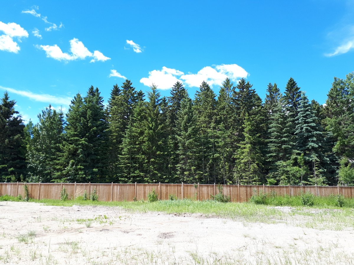 laebonhomes's tweet image. You could have views like this too😍 Home sites backing onto the park or trees available in #Timberstone 

#DontMissOut #CustomHomes #RedDeer