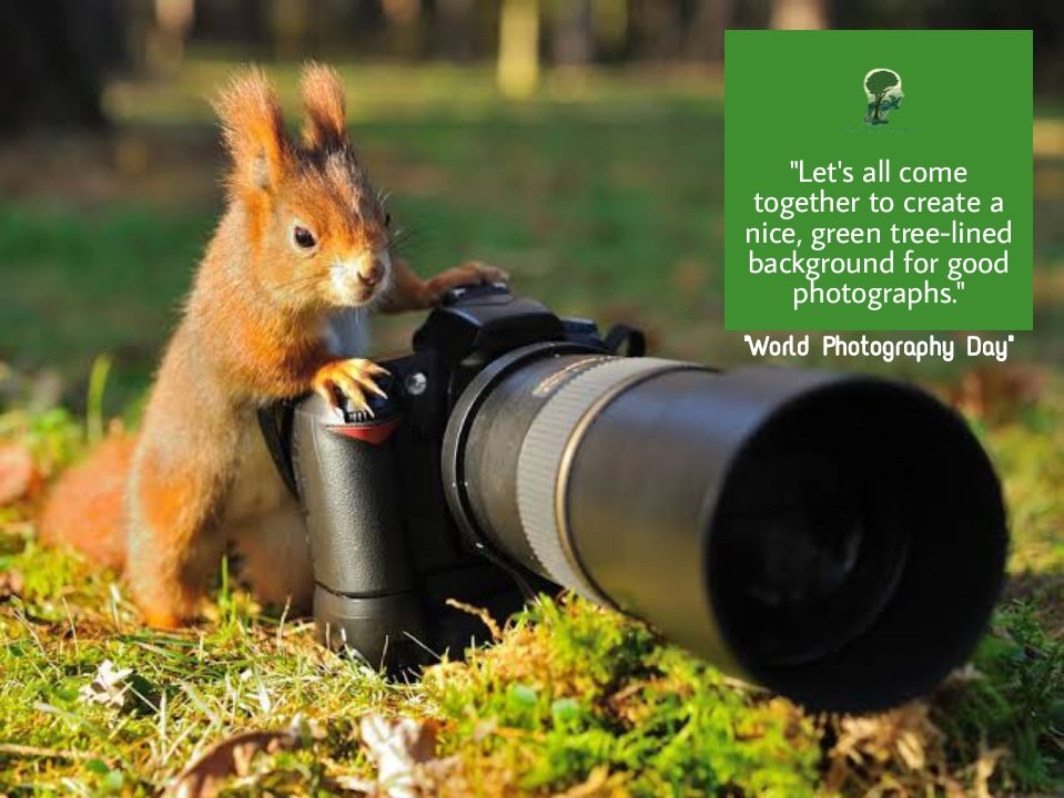 1TreeMillionBr1's tweet photo. On this #WorldPhotographyDay2021, we have to pay attention that if we continue to damage the environment like this, then we will not be left with the place where we go or take photos. Therefore it is necessary that we should #PlantTrees more and more. https://t.co/D413nfTorc