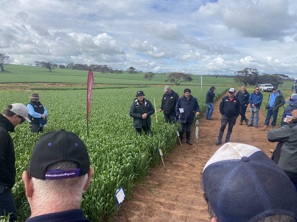 Nigel Routledge (@nigelroutledge) on Twitter photo Great day at the @DavidGrayAglink Dumbleyung Field Day. Awesome site, great conversation and a fantastic organisation to be involved with <a href="/FMCANZ/">FMC ANZ</a> <a href="/SyngentaANZ/">Syngenta ANZ</a> <a href="/Bayer4CropsAU/">Bayer AU ๐ฆ๐บ | Crop Science</a> <a href="/spraytec_aus/">Spraytec Australia</a> <a href="/BASF_Agro_Au/">BASF Agricultural Solutions Australia</a> <a href="/NufarmAustralia/">Nufarm Australia</a> Great day at the @DavidGrayAglink Dumbleyung Field Day. Awesome site, great conversation and a fantastic organisation to be involved with <a href="/FMCANZ/">FMC ANZ</a> <a href="/SyngentaANZ/">Syngenta ANZ</a> <a href="/Bayer4CropsAU/">Bayer AU ๐ฆ๐บ | Crop Science</a> <a href="/spraytec_aus/">Spraytec Australia</a> <a href="/BASF_Agro_Au/">BASF Agricultural Solutions Australia</a> <a href="/NufarmAustralia/">Nufarm Australia</a>