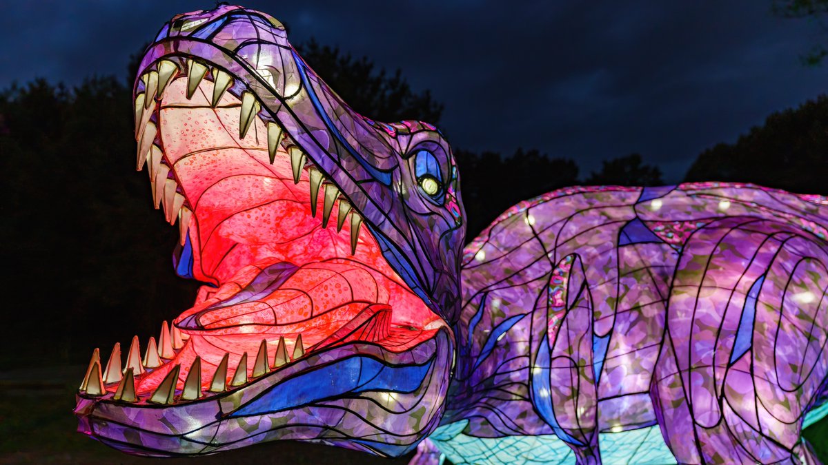 bowmandesigninc's tweet photo. Franklin Park Zoo
@zoonewengland
Boston Lights
July 23 - October 11
https://t.co/rIrqqEatxU

#fpzoo #bostonlights #lanterns #zoonewengland https://t.co/BUkJL33vv2