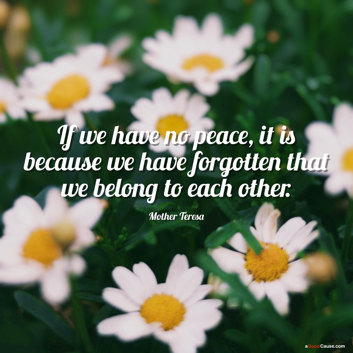 aGoodCause_com's tweet photo. Our hearts and prayers go out to all those who are suffering and living in fear in Afghanistan as well as those all over the world.💔

May those who suffer be blessed with peace.🙏😔

#peace #positivity #charity #philanthropy #gratitude #service #prayers #generosity #afghanistan https://t.co/SYFANHFWZ8