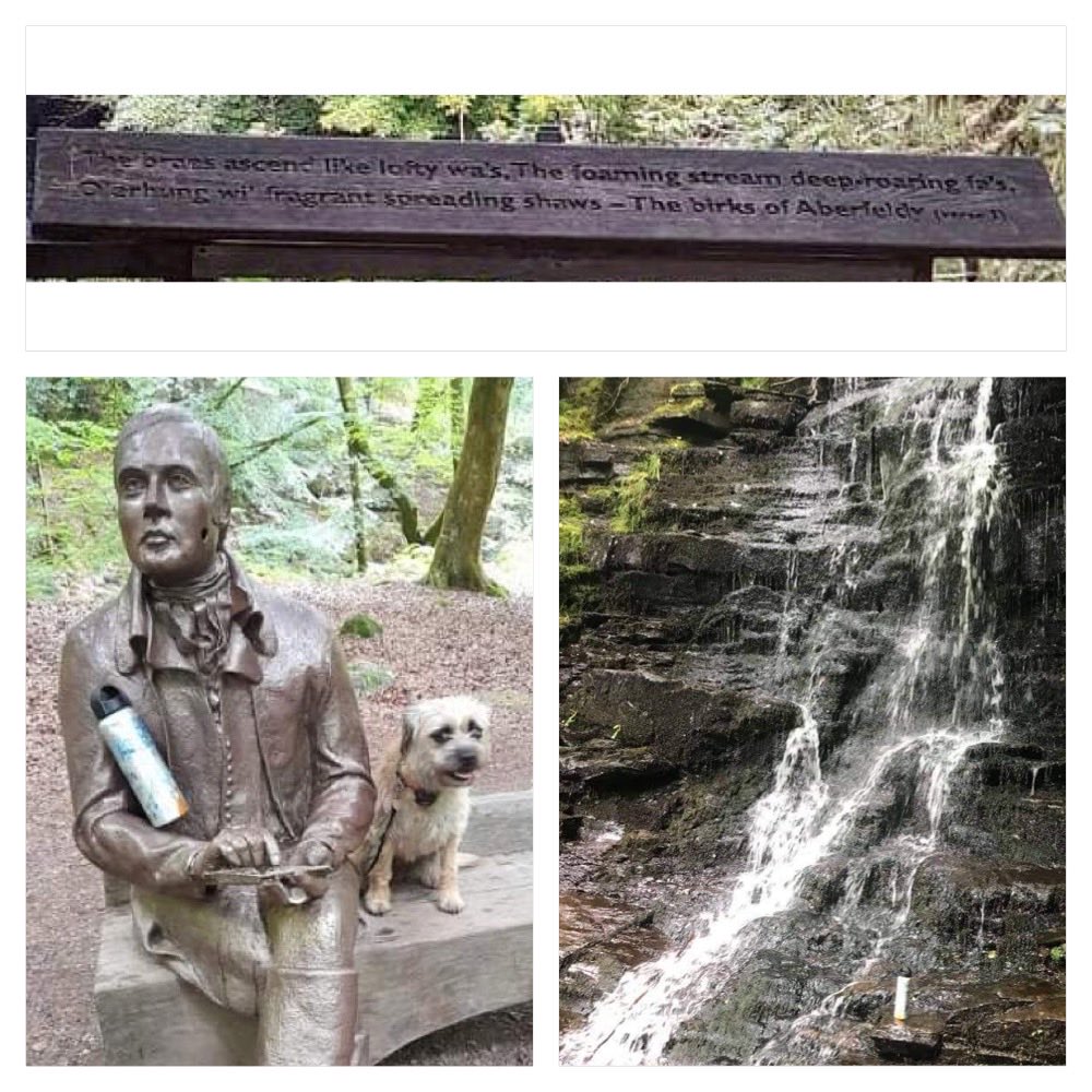 🦆Jeff Brimble (@jeff_brimble1) on Twitter photo Lovely walk to the Birks of Aberfeldy - Robert Burns Scottish poet <a href="/wearewater/">We Are Water Foundation</a> #Diamondcareers #mywaterbottle Water is Life Lovely walk to the Birks of Aberfeldy - Robert Burns Scottish poet <a href="/wearewater/">We Are Water Foundation</a> #Diamondcareers #mywaterbottle Water is Life
