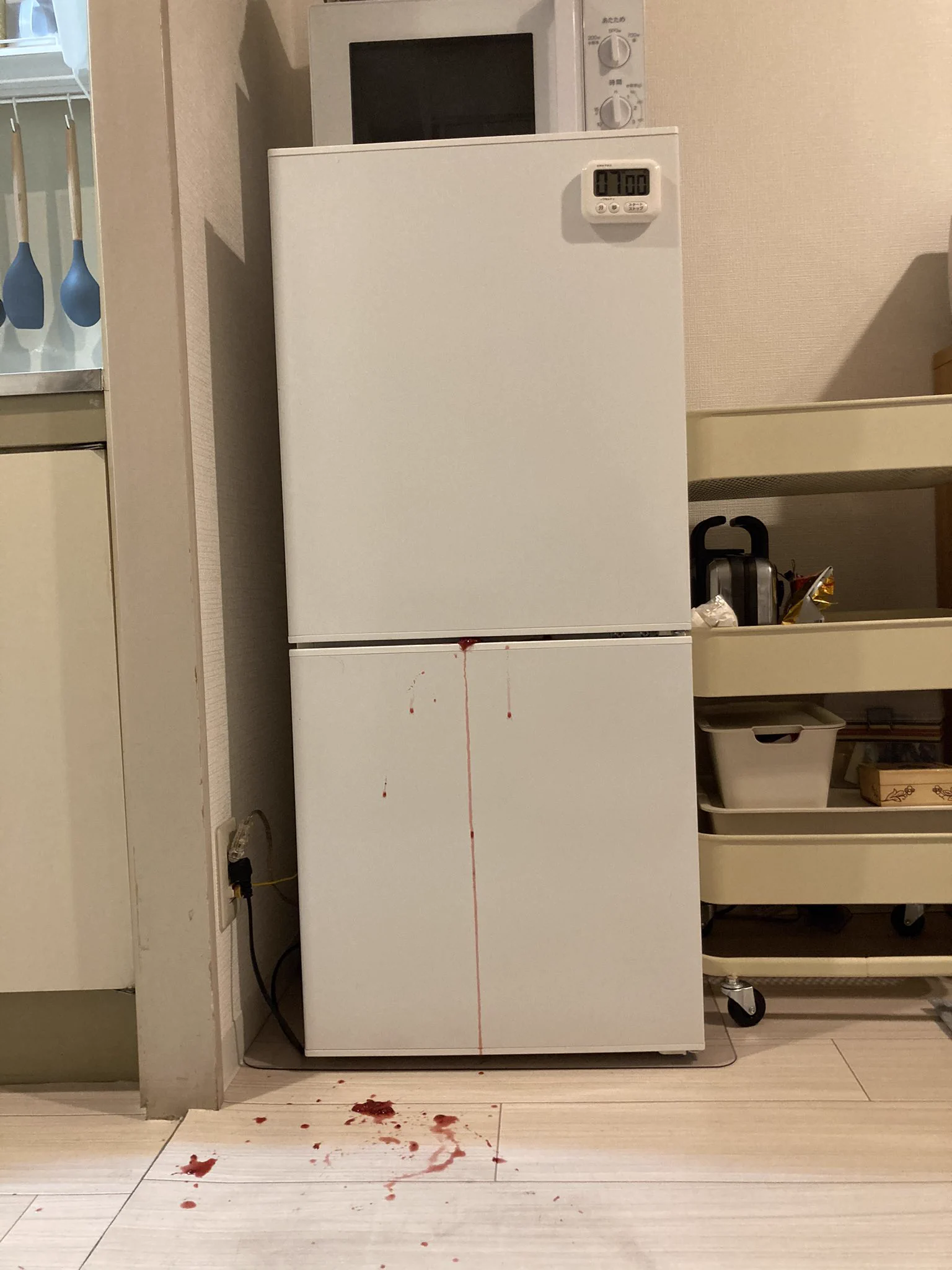事件現場？作り過ぎたブルーベリージャムを冷蔵庫に運んだ結果www