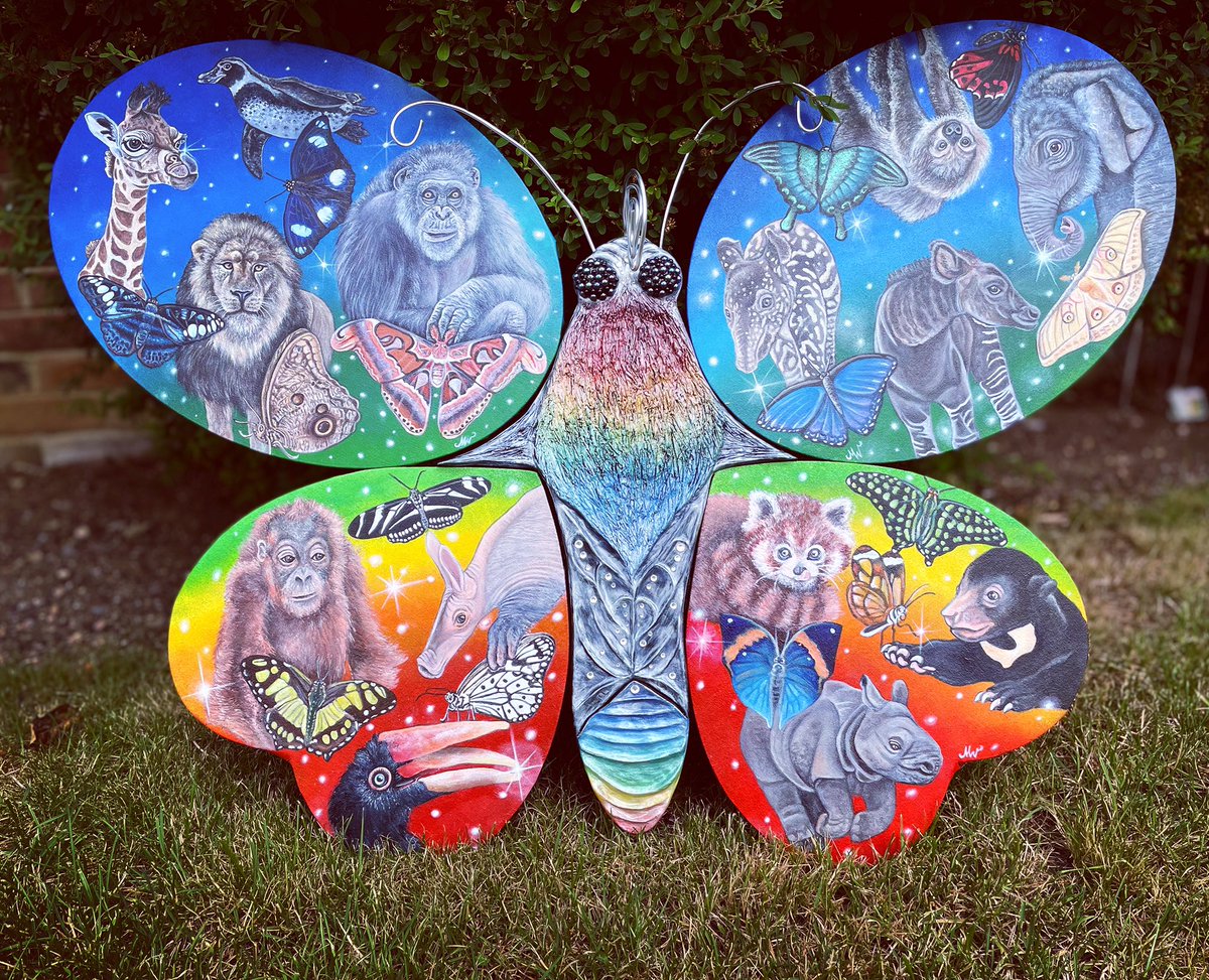 MagicalWildlife's tweet photo. Wonder on wings @chesterzoo celebrating 90 years
 Delivered this piece on my 24th birthday 
#animals #animalart #Butterflies #rainbow #celebrate #art #artwork #magical https://t.co/aC6nBjITL7