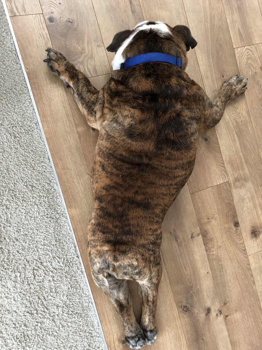 My best Superman pose 🦸‍♂️