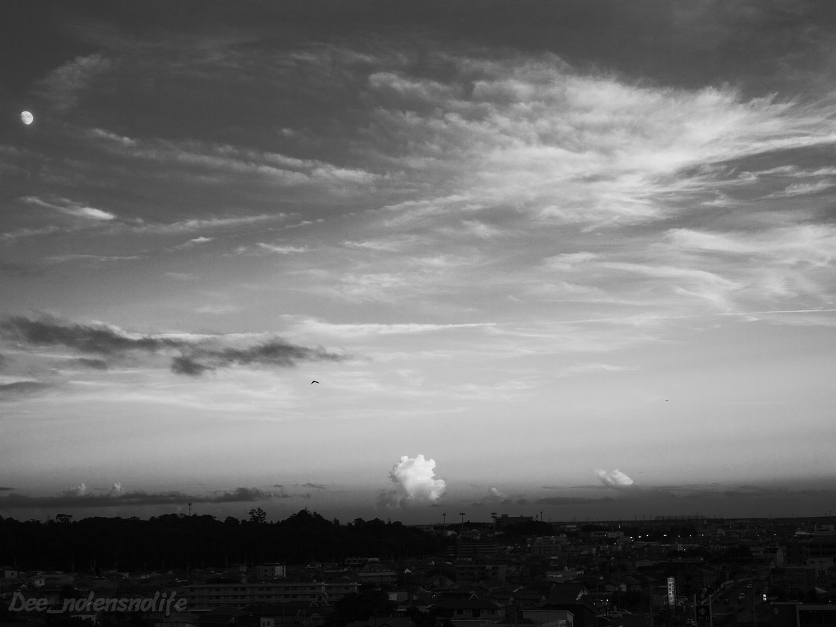 DNolensnolife's tweet photo. ăăă§ăŻăăăăăżăȘăăă
#Leica #typ240 #summarit50 #elmar135 #monochrome #silkypix #lsky #cumulonimbus #evening #crow https://t.co/rwiUQeLHs9