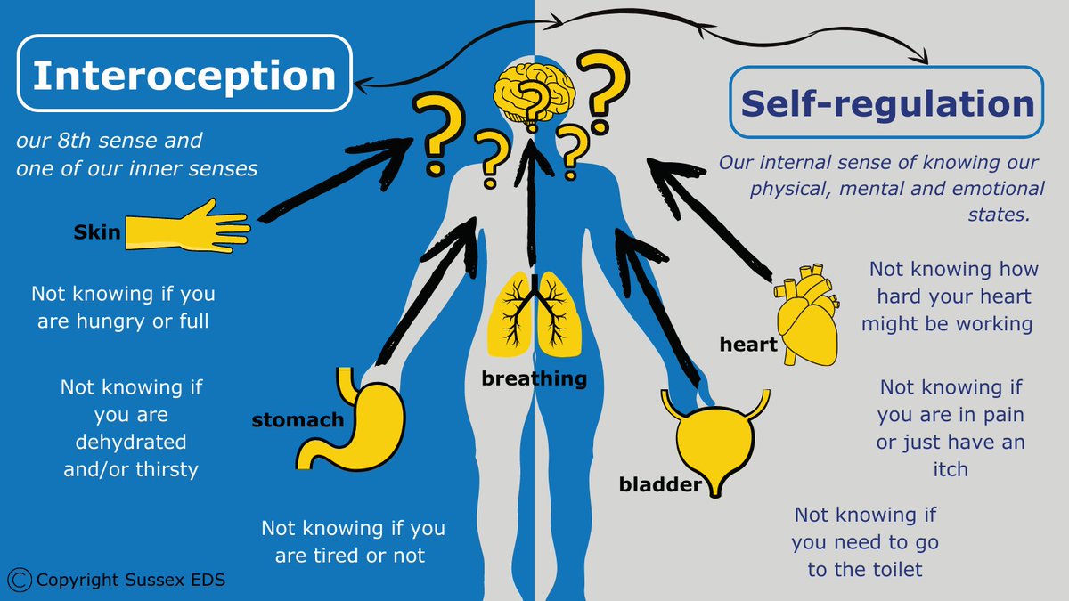 JGjanegreenMBE's tweet photo. Did you know that I specialise in teaching educators about #autism and the #interoception senses? This is an area I’ve been discussing for years with the aim to help not only autistic/ND people but many #neurotypical children and adults also.

#neurodivergent #edutwitter https://t.co/pljdIp7f4K