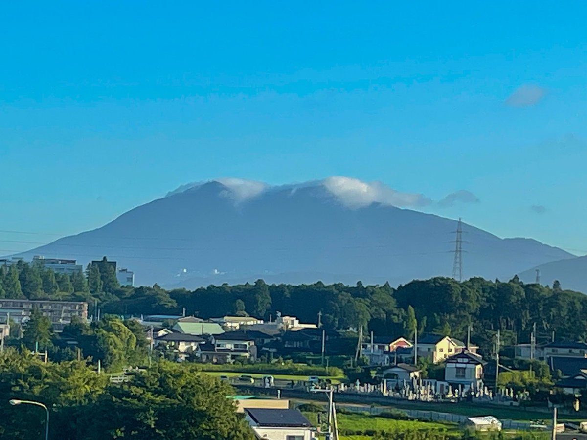 とこちゃん 𓃒 𖧷𓂃𓈒𓏸𖧷 S Tweet 21年 8月日 金曜日 33 23 おはようございます こちら快晴です 6 15撮影 関東は日中33度の予報 また真夏に逆戻りです 誕生花 フリージア 花言葉 あどけなさ 純潔 親愛の情 フリージアは 暖かな春の