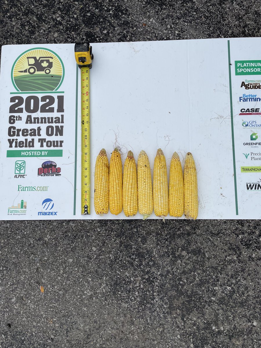 Corn average of the day. South and North Dundas’s for August 19th. Tomorrow Glengarry county!