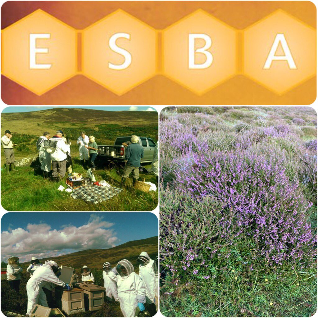 East of Scotland Beekeepers Association (ESBA) tweet media