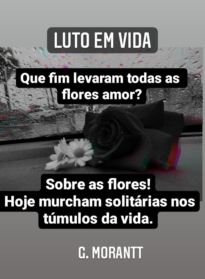 morrantt's tweet image. 