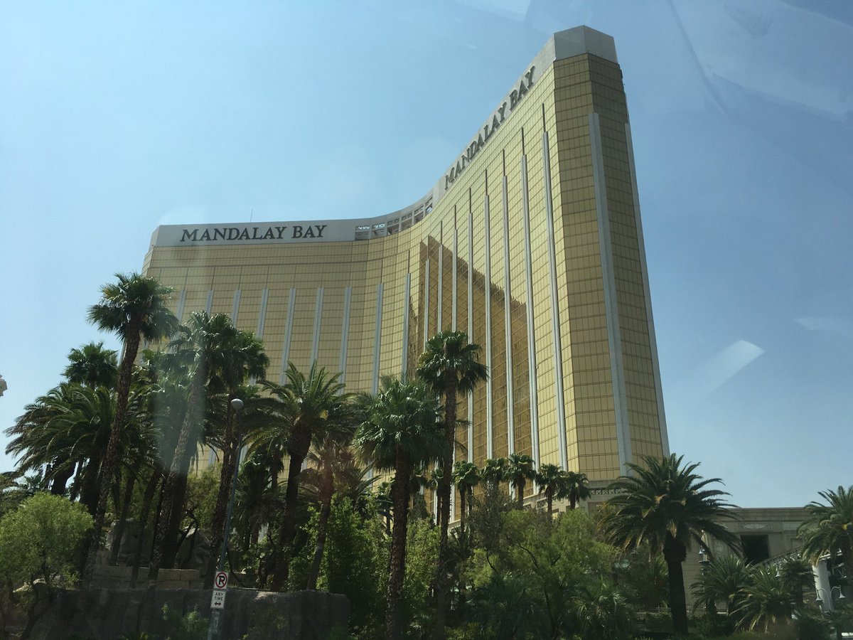 fire__exit's tweet image. why did he do it