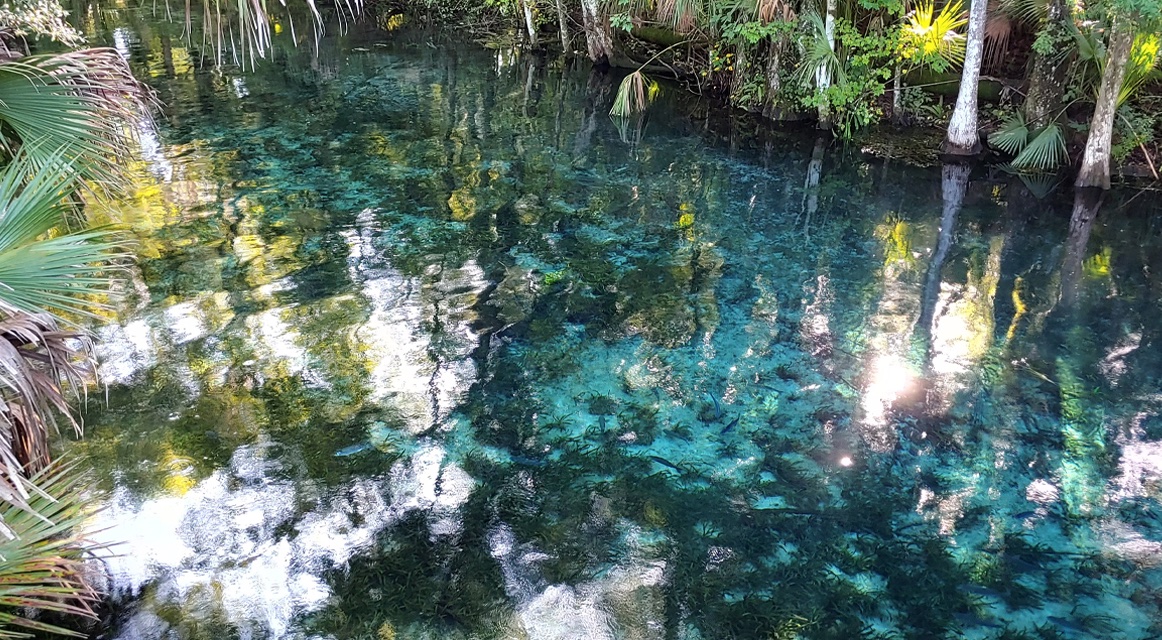 A sneak peak to my adventures from yesterday.  The color of the water is out of this world. No filters, raw footage. #turquoise #blue #teal #springs #floridasprings #Florida #journey #floridaoutdoor #ilikejourney