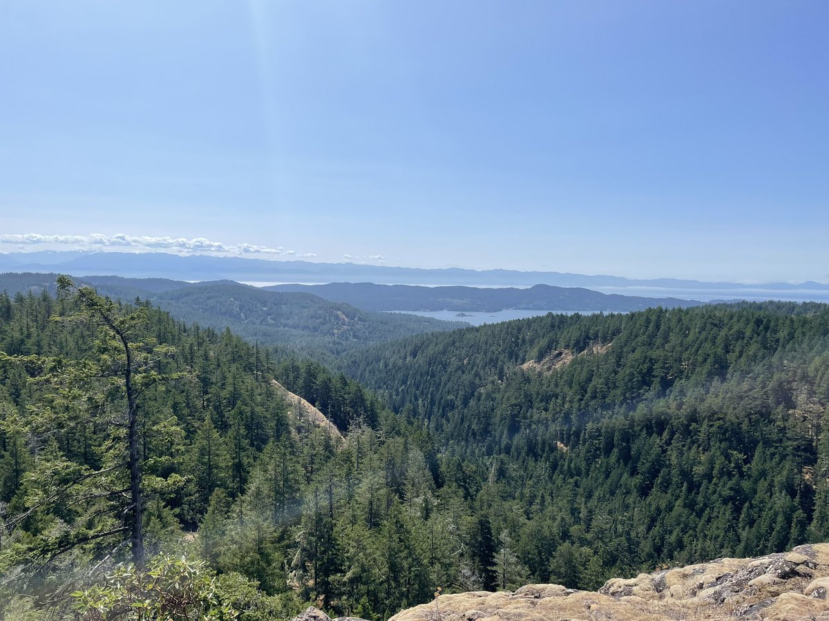 What a beautiful day to deploy some traps (camera trap)! #SookeHillsWildernessPark