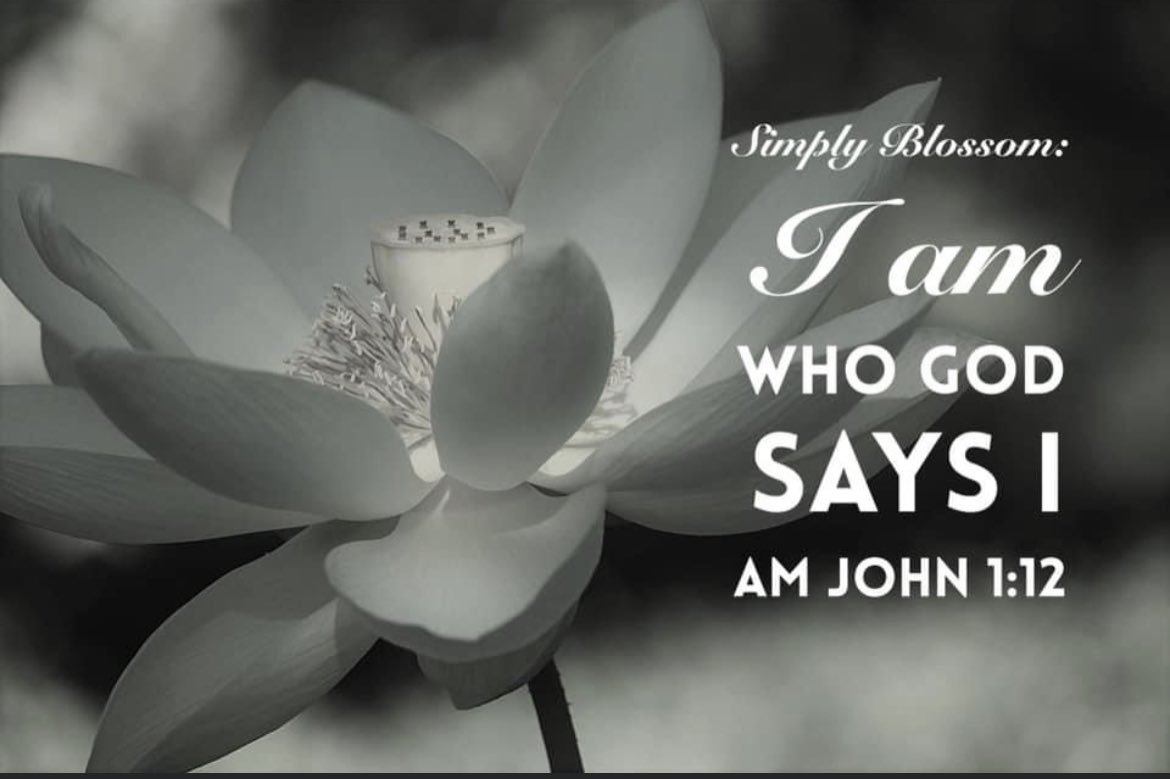 knowprecepts's tweet photo. This month’s Simply Blossom:The Blog focus on a simple concept belief that we are who God says we are. In order to reset your mindset we must be open to God’s vision of who we where created to be. #Godsvision #perspective 
https://t.co/xsKJlEMmPe https://t.co/ZmvKdPmr0p