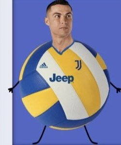 El bicho                    El Bich Voley