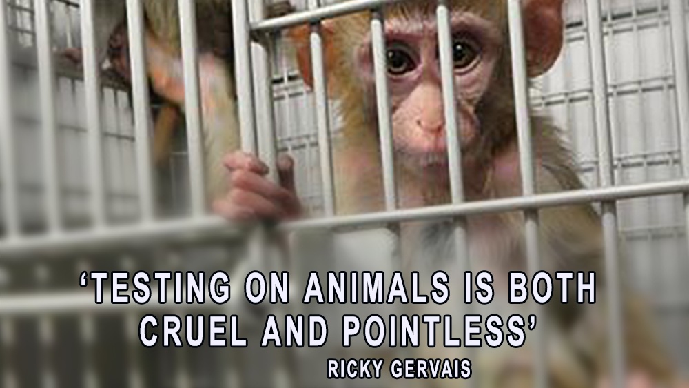 _AnimalAdvocate's tweet photo. Some animals aren't in The Animal Welfare Act🤯
We demand equal rights for lab #animals🙊💔
https://t.co/WVrGpWJv90
Injustice thrives on silence, inaction and inequality⚖️
There can be no justice without #AnimalRights.
Be #vegan🐾💕
@RickyGervais @PeterEgan6 @Ivy_MiddletonUK https://t.co/NK4gGhrpJb
