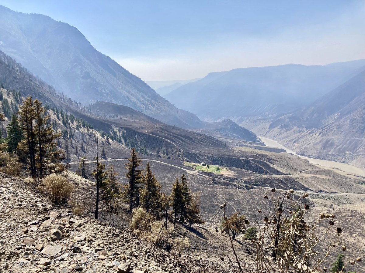 erin_momo's tweet photo. After most of our property burned in the #mckaycreekfire at the end of June, there were several things that happened #afterwildfire that we didn’t anticipate. I’m curious what you have experienced after fire that others might not anticipate. #bcwildfire #wildfire 
I’ll start: https://t.co/wud8pKe9mm