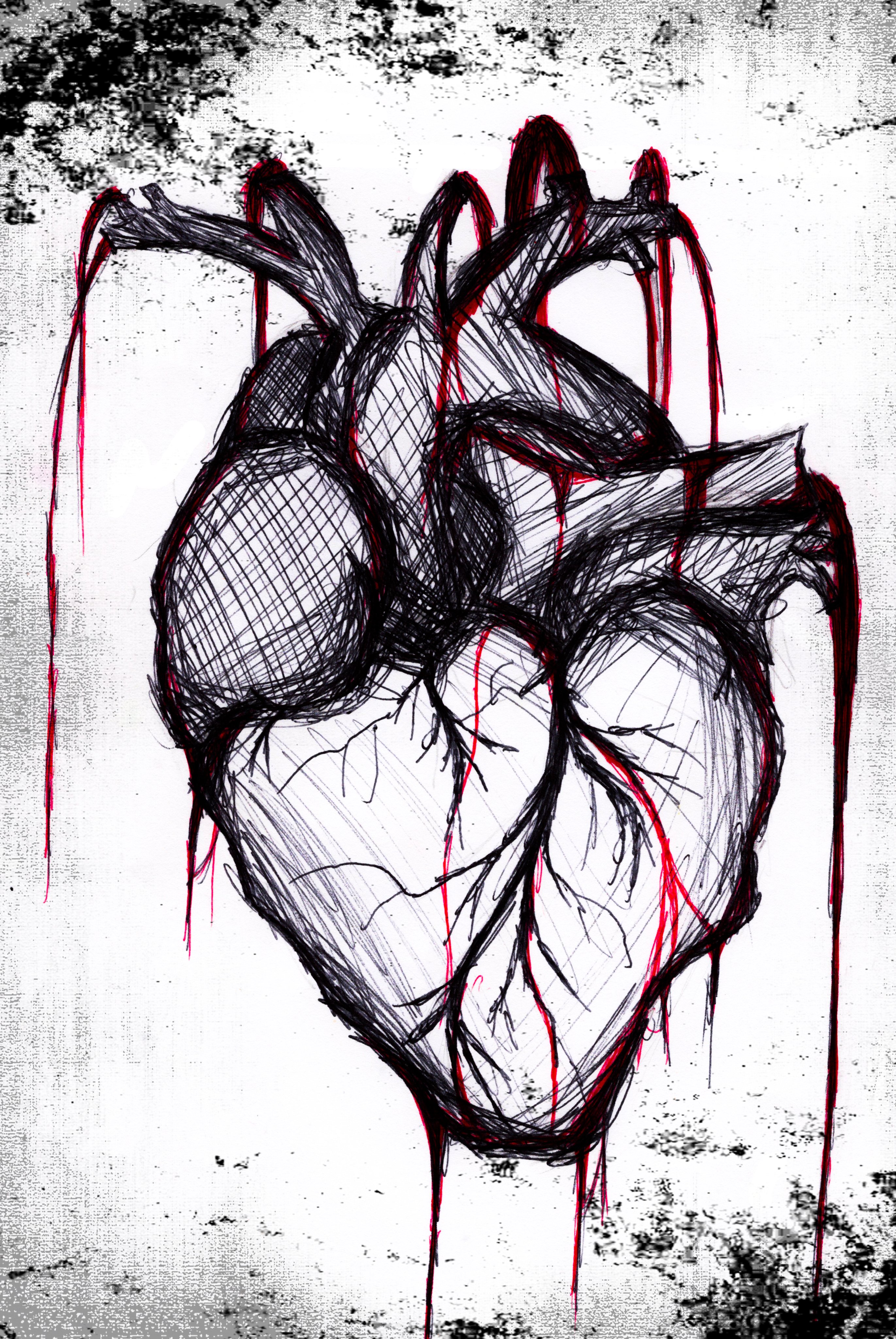 Naturium on X: "Bloody Heart Requested on https://t.co/UTqo5X05IH #creepy  #art #drawing #creepyart #creepydrawing #horror #HorrorArt #pendrawing  #blackandwhite #heart #blood https://t.co/9bt211OetA" / X