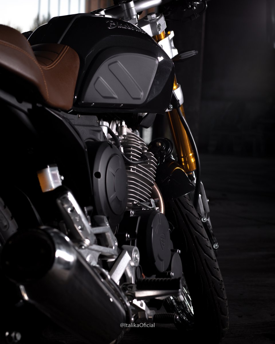 ItalikaOficial's tweet photo. Aquí te dejamos una mini galería de #Blackbird para celebrar juntos #DíaMundialDeLaFotografía. 📸😎🏍
#ITALIKA #ElMotorDeTuVida https://t.co/0cwmwxkflA