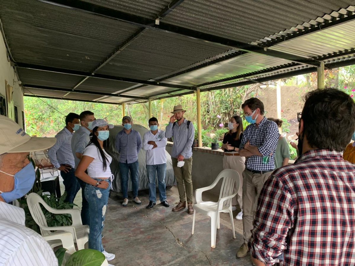 HCMauricioTM's tweet photo. #Cacao #Algeciras 💚💛❤️
Acompañando a la Asociación APROCALG y a la #EmbajadaSueca que están en nuestro territorio para cooperar con el objetivo de potencializar la comercialización y producción. https://t.co/KEMUbtC0nl
