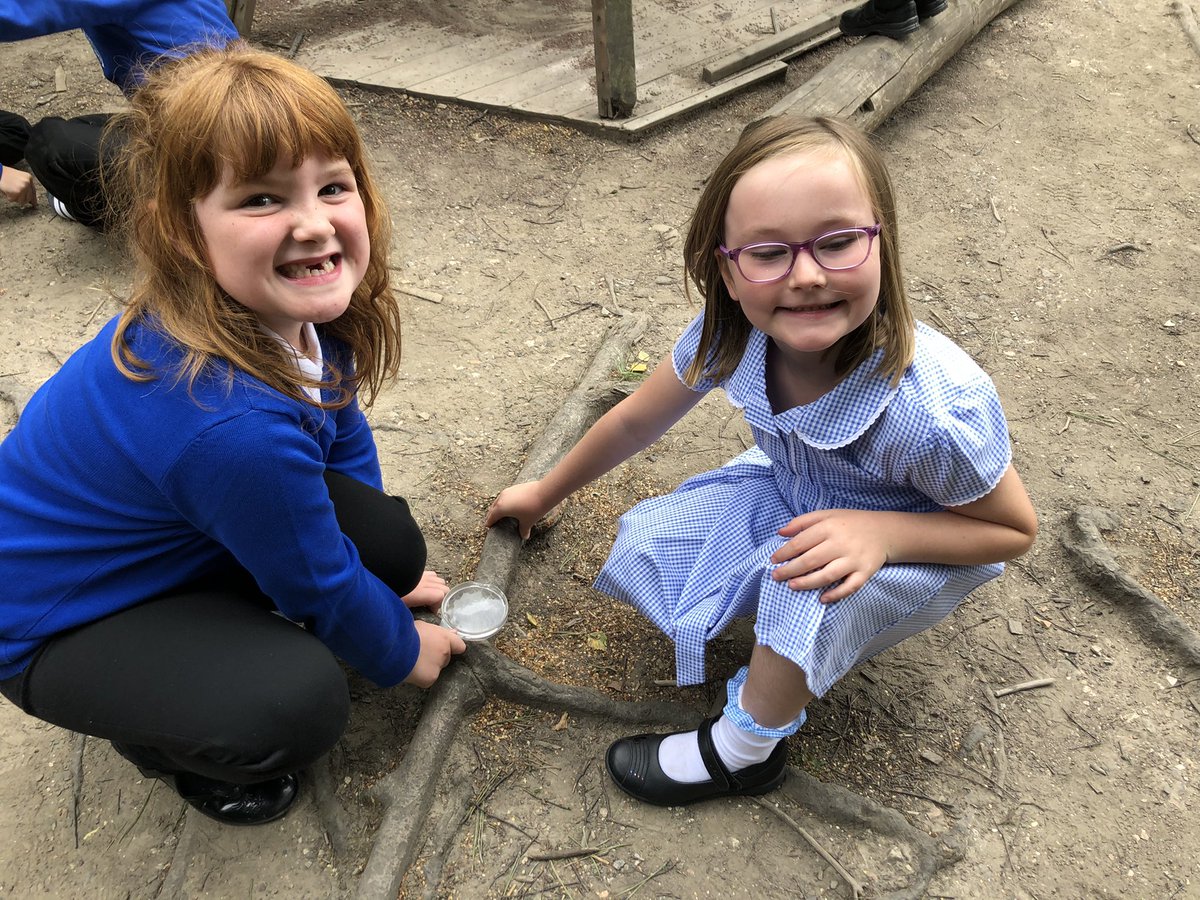 MrWatersECPS's tweet photo. P2 had another fantastic day. We decided to explore the forest area in our playground using magnifying glasses 🔍 Lots of interesting discussions on our findings 🌳 🪵 🕷 🍃 #VPSfun https://t.co/JgIC3TqkIA