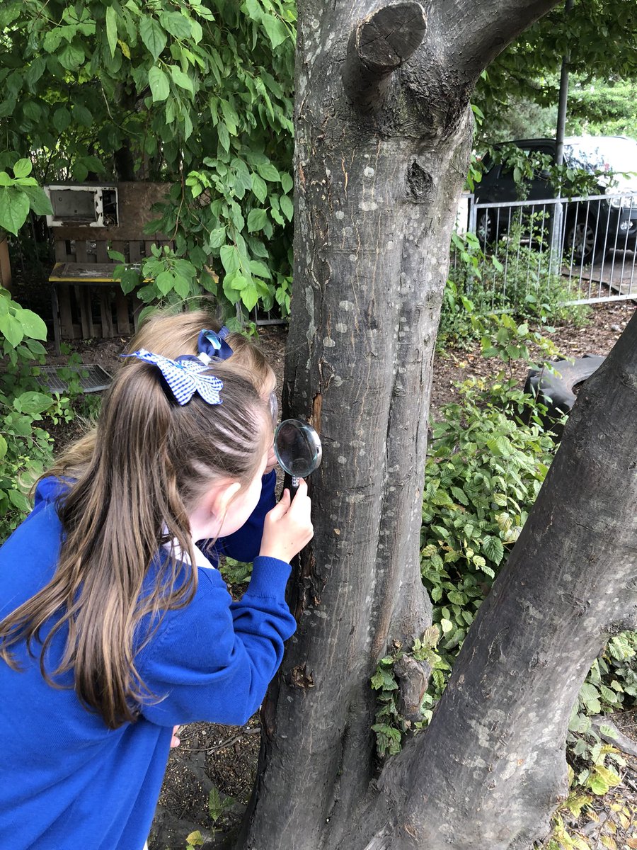 MrWatersECPS's tweet photo. P2 had another fantastic day. We decided to explore the forest area in our playground using magnifying glasses 🔍 Lots of interesting discussions on our findings 🌳 🪵 🕷 🍃 #VPSfun https://t.co/JgIC3TqkIA