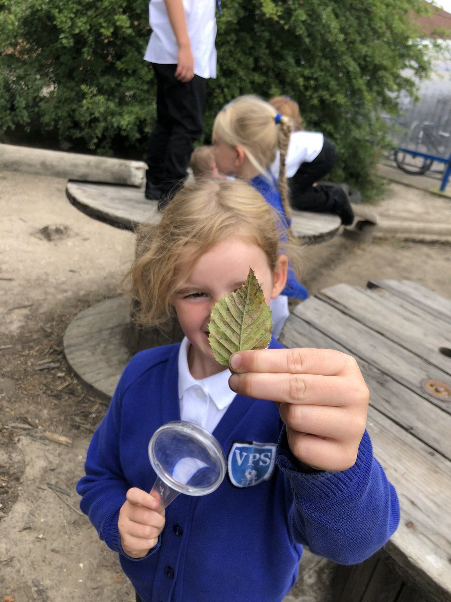 MrWatersECPS's tweet photo. P2 had another fantastic day. We decided to explore the forest area in our playground using magnifying glasses 🔍 Lots of interesting discussions on our findings 🌳 🪵 🕷 🍃 #VPSfun https://t.co/JgIC3TqkIA