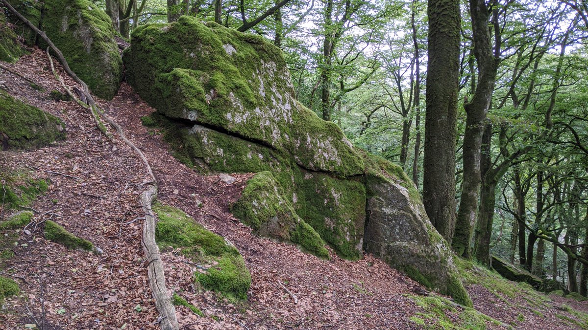 Tor_Bagger's tweet photo. The magnificent Burra Tor on #Dartmoor. Do you want to learn more about this awesome place? If so, please check out the link: https://t.co/LOWCCOElWH
#TorsofDartmoor #ToD #BurraTor #LoveTors #TorBagging #DartmoorTorBagging #TorBagger #DartmoorTorBagger #BurratorReservoir https://t.co/dQ4gnF5WYc