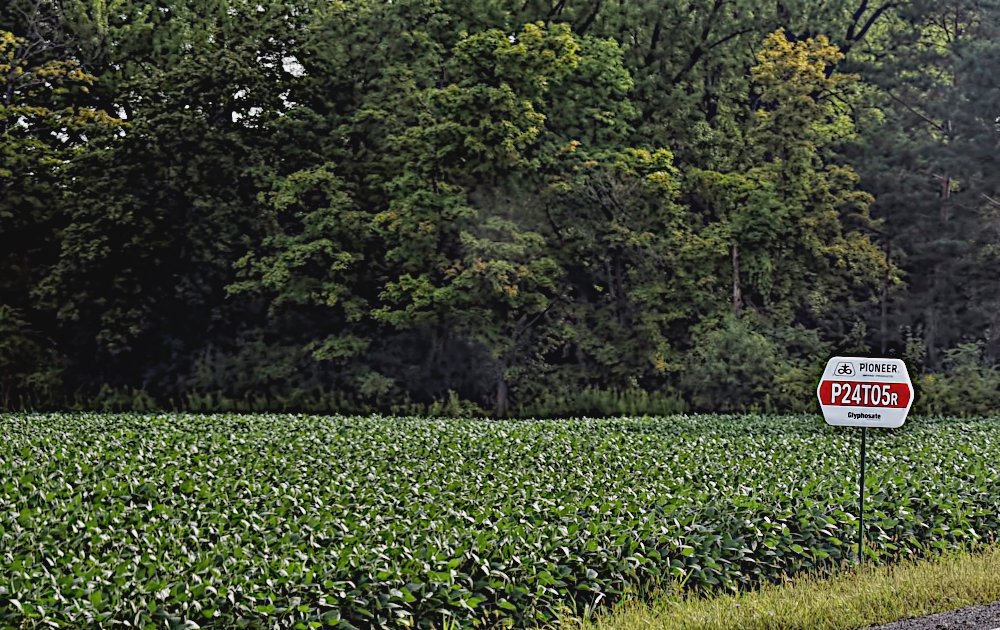 In 2003, George Hirst wrote an article for the Stark County Illinois paper describing the history of GMOs. Published today on Wasteflake.  ow.ly/psGi50FU377