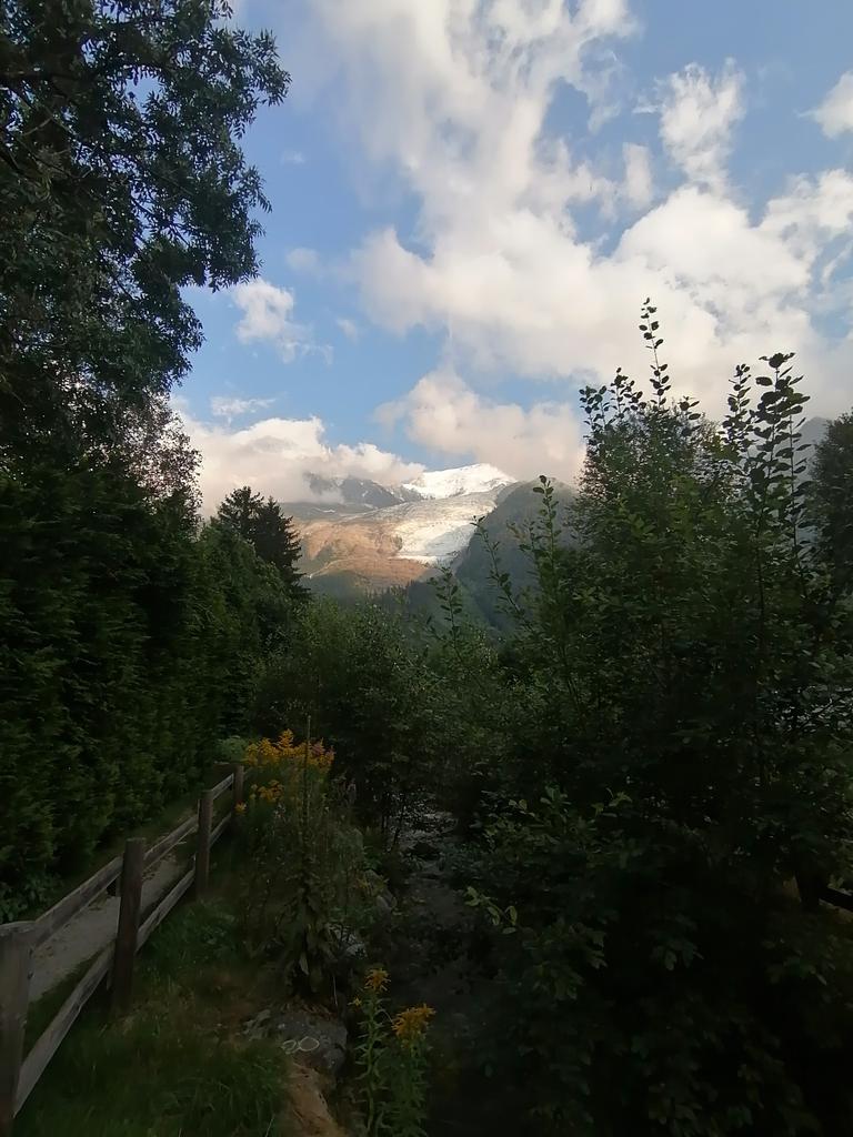 Glacier des Bossons ❄😍

#chamonix #glacierdesbossons #montblanc #quellevue #desalpes #massifdumontblanc #nature #planair #outdoors #montages #mountains #adventures #voyage #travel #explore #hautesavoie #alpesfrancaises #xcchamonix 👉 #yourchamonixexpert