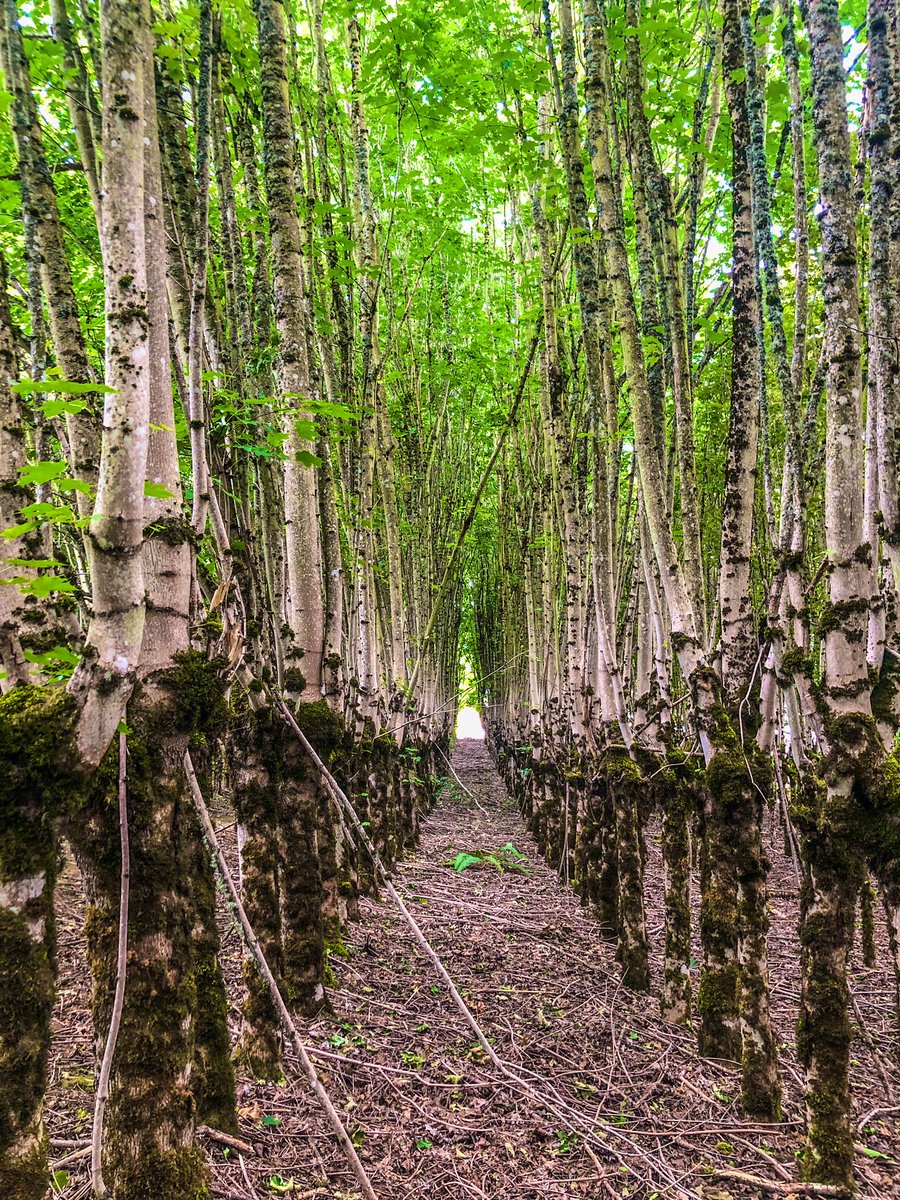 Thundercatt99's tweet image. Senses be dancing 
   with shifting intrigues.
She stands up and
   strolls to the door,
to finally discover what lies
   on the edges of the world.

#MusePrompt #vsspoem #vss #prompt #intrigue #world #WritingCommunity #poetry #photography