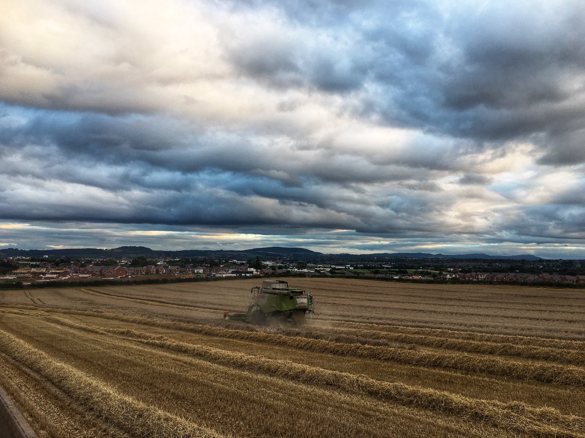 #harvest @ #hereford  #herefordshire