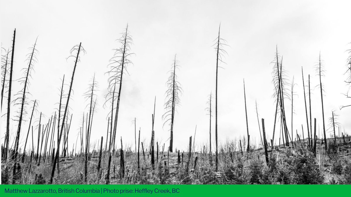 UKinCanada's tweet photo. On #WorldPhotoDay we are looking back at the winning images from our #CapturingClimate photo completion held earlier this year. 📸
The winning images, including 1️⃣ overall winner and 7️⃣ other finalists, show what climate change looked like to them as 🇨🇦Canadians 👇 https://t.co/VC5fPkt38z