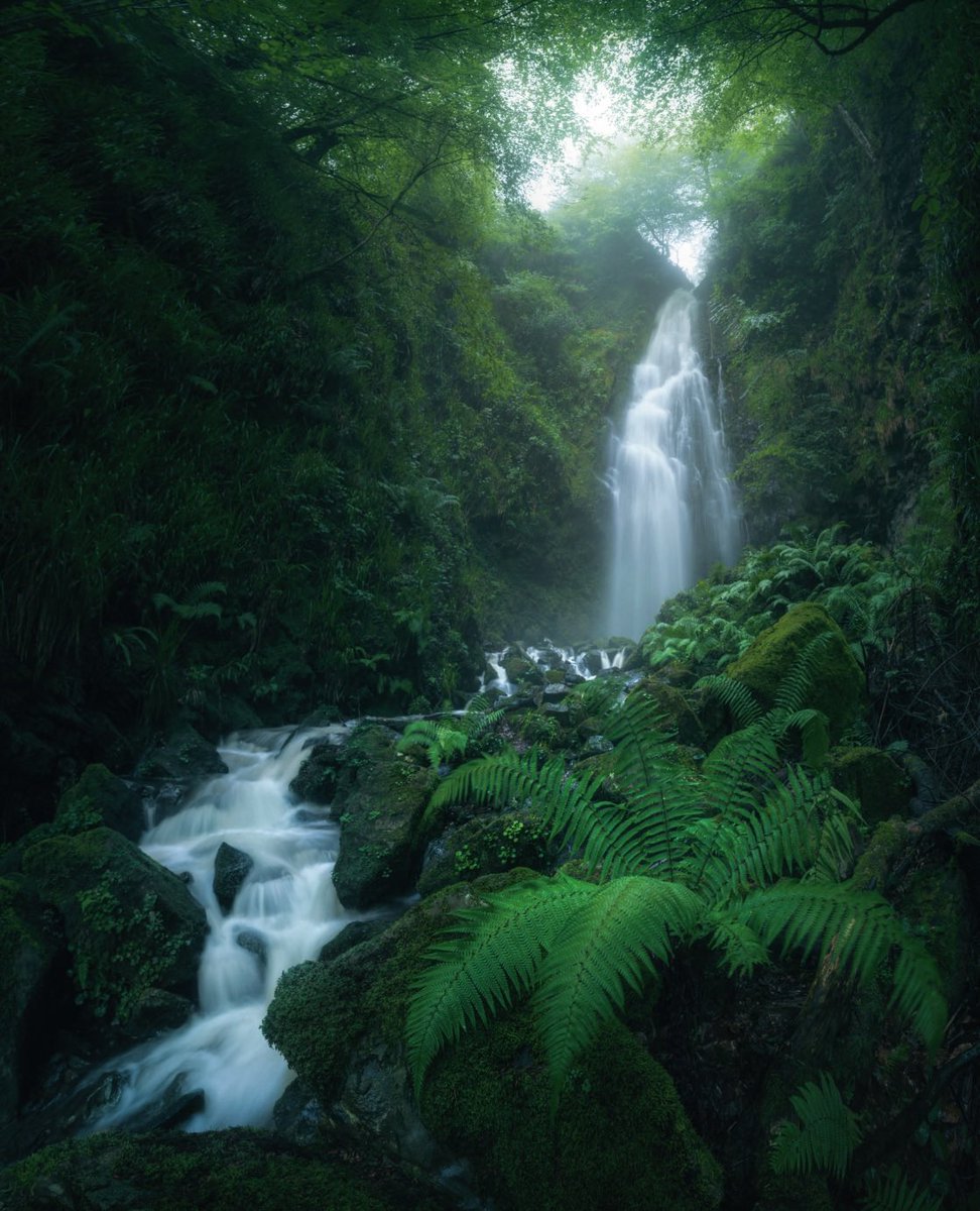 #WorldPhotographyDay #DiaMundialdelaFotografia porqué estar ahí donde la magia ocurre es lo que nuestro cuerpo y alma necesitan para equilibrarse, la fotografía es solo la excusa😉