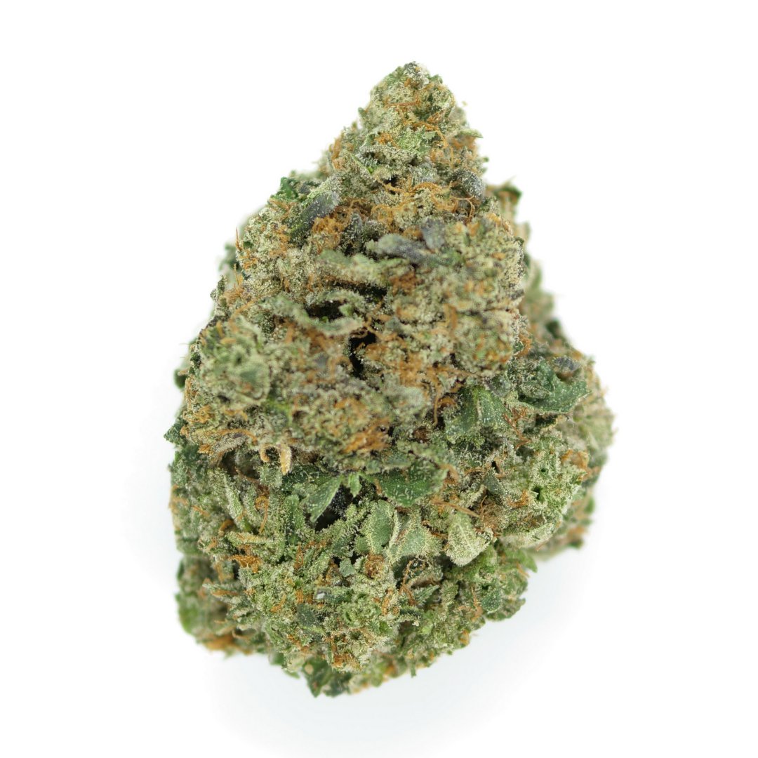 bloom_cannabis's tweet photo. Stay High🚀 Stay Happy! 😄

#cannabisphotography #cannabiscommunity #weed #hightimes #stoner #shrooms #smoke #indica #sativa #hemp #maryjane #medicalmarijuana #weedlife #Toronto #Etobicoke #NorthYork #Scarborough #Vaughan #Markham https://t.co/TVxoQUvMQ6