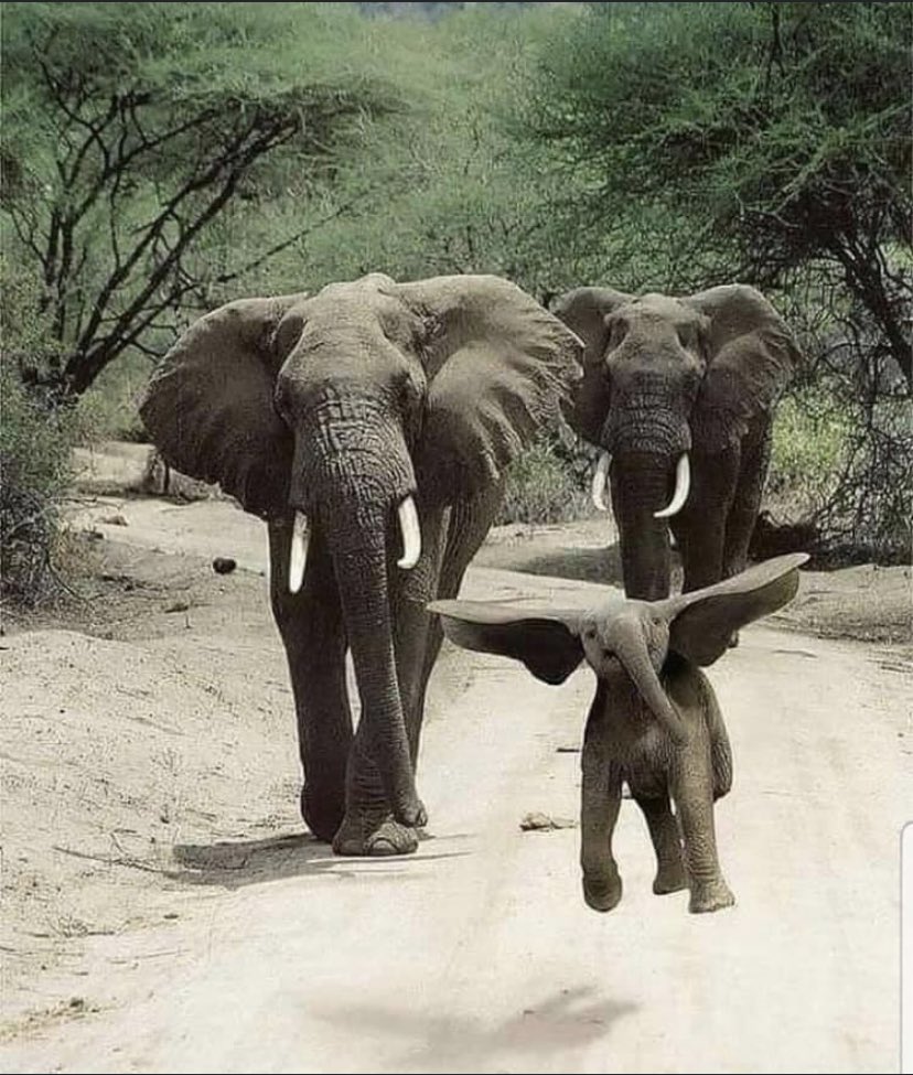 Joseph Driscoll tweet media