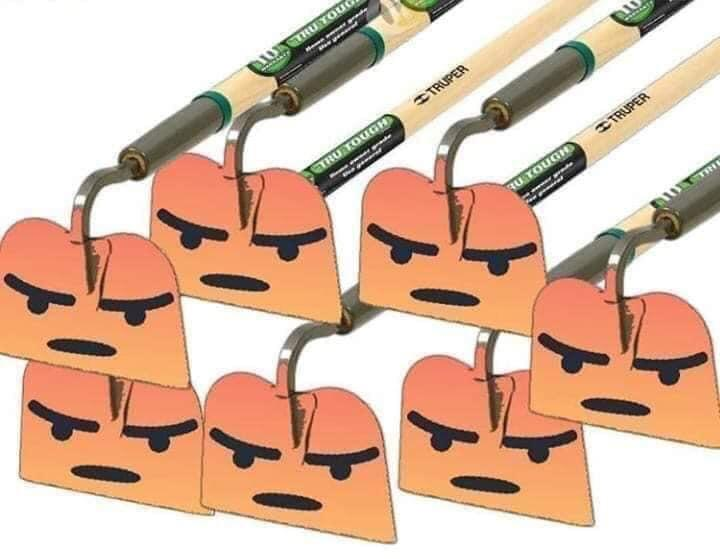 E9LQPjTXoAMBl06