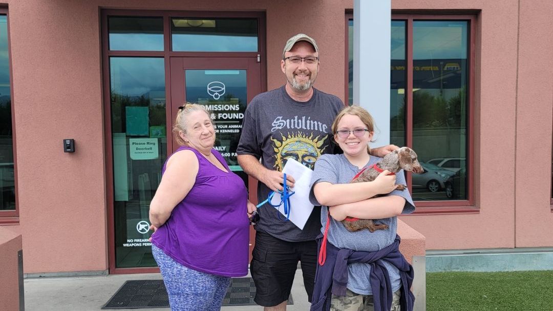 HSPPR's tweet photo. Sissy's Happy Tail! Lost and found at HSPPR after SEVEN years away from her family. 

Microchips save lives and help your pet get home to you if they go missing! Get your pet chipped today. #HappyTailsHappyHearts #MicrochipsSaveLives https://t.co/sXXTv7w7FG