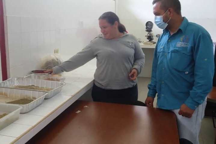 ACAVenezuela1's tweet photo. Ing. Yesenia Hernández, investigadora de la ACAV, demuestra al Ing. Luis Colmenares de #Codecyt las bandejas de germinación en la Casa de Cultivo y los procesos agroindustriales de pequeña escala en nuestra institución #ChávezPorSiempre @Mincyt_VE @Gabrielasjr @arelisjo76 https://t.co/sWfQtAnRQd