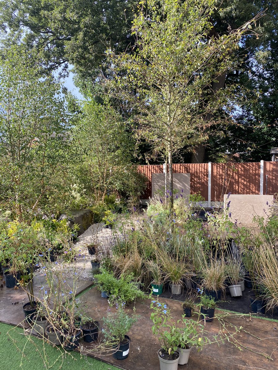 RHS Flower Power Garden Re-Build! Planting setting out is well underway and the garden is starting to take shape again! 🌿<a href="/The_RHS/">The RHS</a> #rhstatton <a href="/Landstruction/">Landstruction</a> <a href="/QLSHead/">Iona Carmody</a>