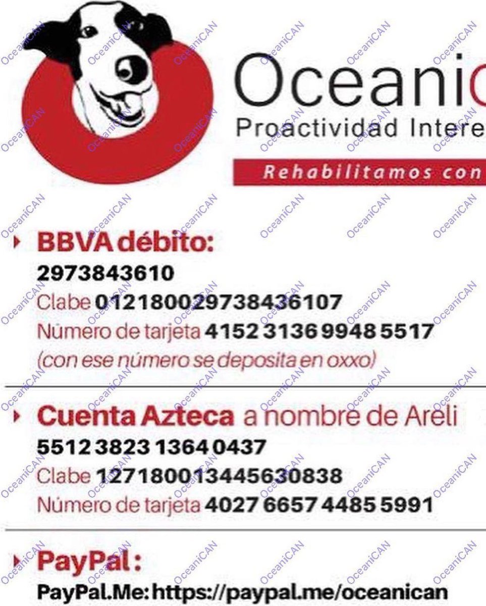 RefugiOceaniCAN's tweet photo. Amig@s alguno de ustedes quisiera apadrinarnos una pipa de agua por favor? Cuesta 1000 y consumimos mucha diario, pues tomamos agua, hacemos sopa, nos bañamos, lavamos platos, nuestros espacios y hasta nos refrescamos 😅🐶
Porfa ayúdennos. 
Les agradecemos infinito su apoyo.
🙏🏼🐾 https://t.co/RMITCtqk34