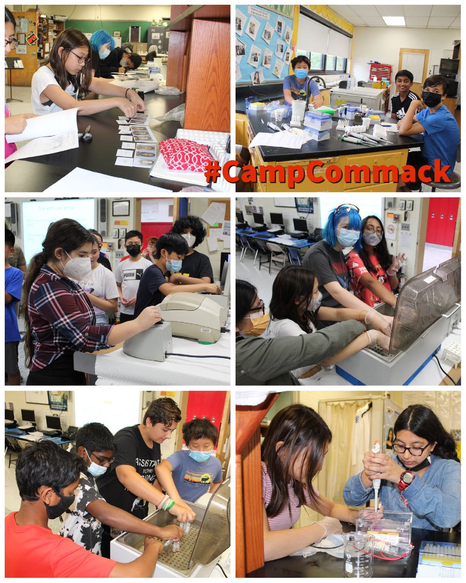 CommackSchools's tweet photo. Students did Bacterial Transformation using GFP, Restriction Analysis with Gel Electrophoresis, and used Pill Bugs to learn experimental design with model organisms at #CommackHighSchool #CampCommack #ScienceROCKS #CommackSchools https://t.co/u7t5D4Hf2H