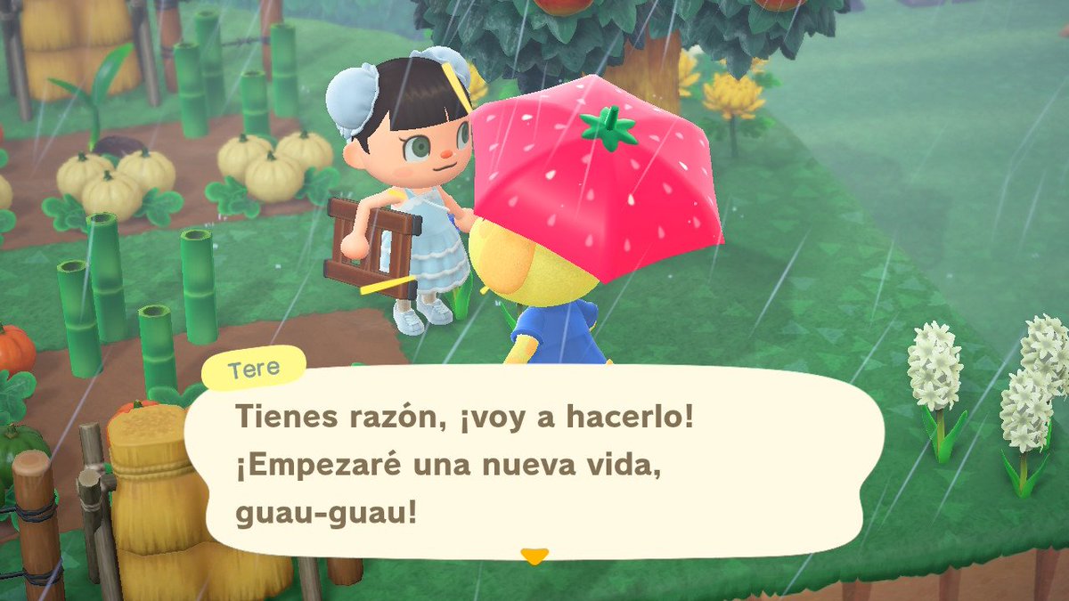 volterra_ACNH's tweet photo. Tengo a Tere en cajas (Goldie in boxes) por si alguien la quiere!! 🥺
#acnhvillagerinboxes #villagerinboxes #acnhvillagertrade https://t.co/VpKrwbHD8P