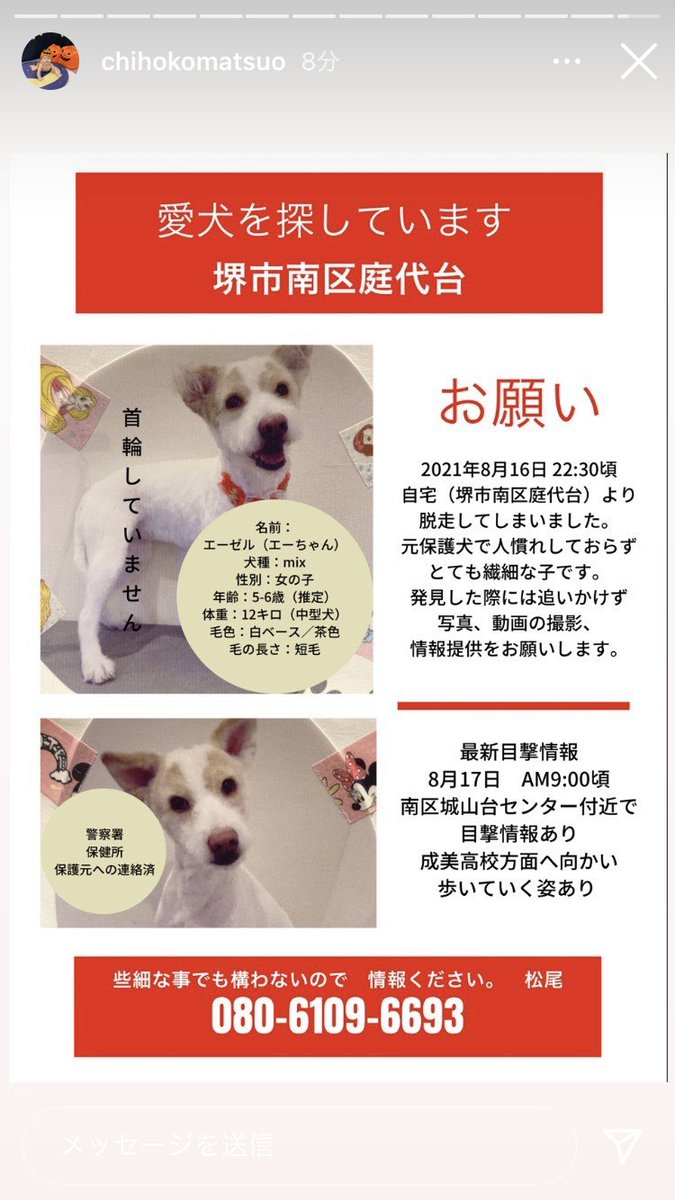 Misaparu 迷子犬探してます 迷子犬 迷い犬 行方不明 拡散のご協力をお願いします 捜索のご協力をお願いします 大阪 堺市 堺市南区 狭山市 和泉市 雑種犬 テリア系 中型犬 保護活動 ボランティア募集 犬好きさんと繋がりたい 拡散希望rt