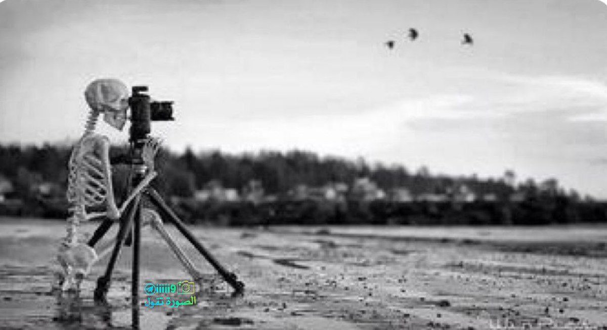 .

اخذ ينتظر الفرصه المثاليه ففاتته الحياه باكملها!

.

#الصورة_تقول