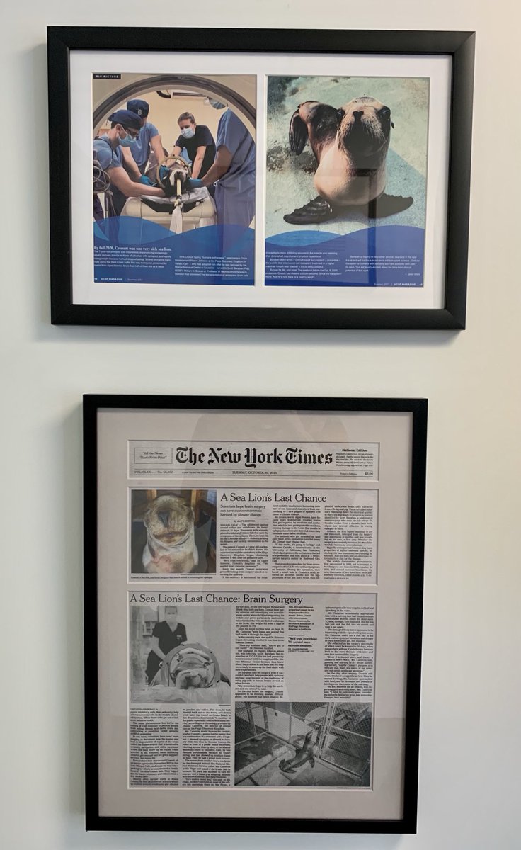 BarabanLab (@barabanlab) on Twitter photo Office wall space starting to fill up with <a href="/Cronutt1/">Cronutt</a> media coverage | thanks <a href="/nytimes/">The New York Times</a> & <a href="/UCSF/">UC San Francisco</a> <a href="/NeurosurgUCSF/">UCSF Neurosurgery</a> Office wall space starting to fill up with <a href="/Cronutt1/">Cronutt</a> media coverage | thanks <a href="/nytimes/">The New York Times</a> & <a href="/UCSF/">UC San Francisco</a> <a href="/NeurosurgUCSF/">UCSF Neurosurgery</a>