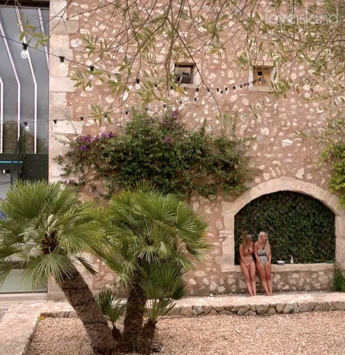 LI_arthistory's tweet photo. Liberty and Faye leaving the main villa to have a chat / Cypresses and Two Women - Vincent van Gogh (1890) #LoveIsland https://t.co/rKDIbE2JCR