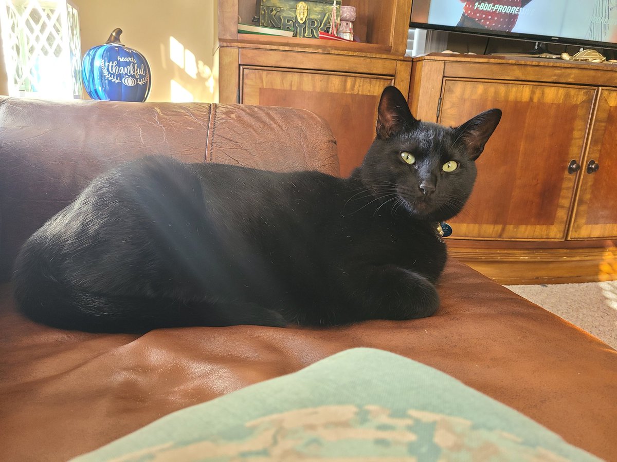 Leanne Wilson tweet media